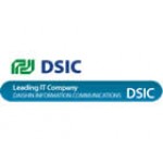 Dsic